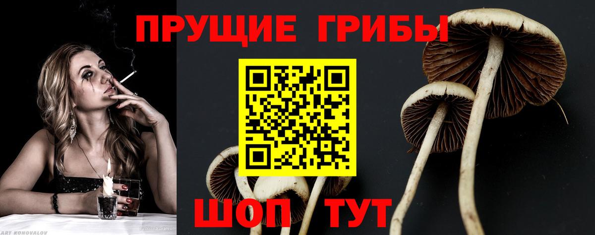 Краснотурьинск  Псилоцибиновые грибы Magic Shrooms  Вход с VPN 